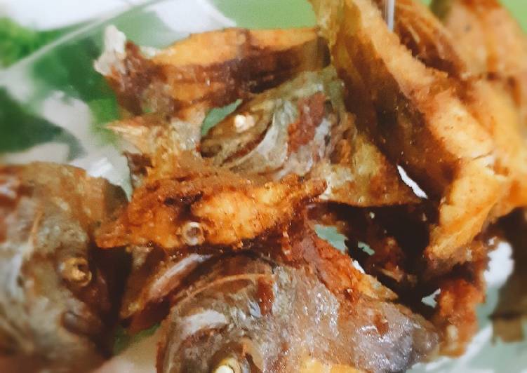 Detail Ikan Laut Goreng Nomer 19