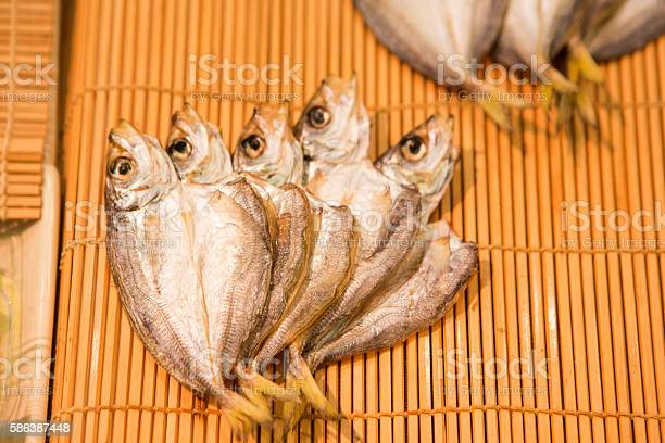 Detail Ikan Laut Kecil Kecil Nomer 20