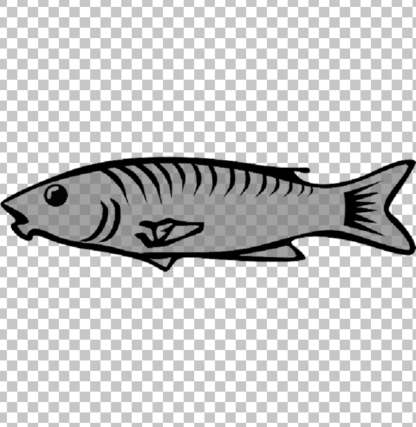 Detail Ikan Laut Png Nomer 36