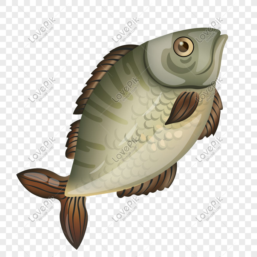 Download Ikan Laut Vector Nomer 3