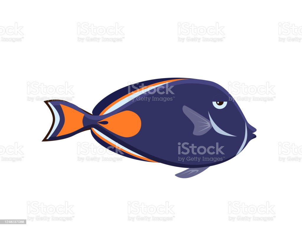 Detail Ikan Laut Vector Nomer 29