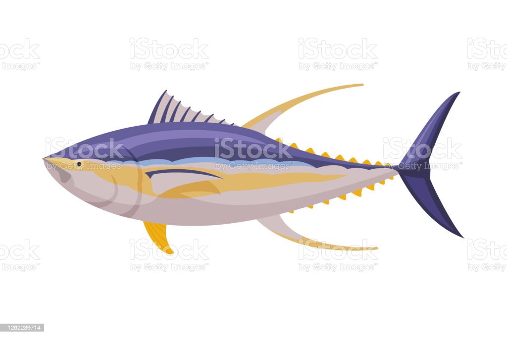 Detail Ikan Laut Vector Nomer 35