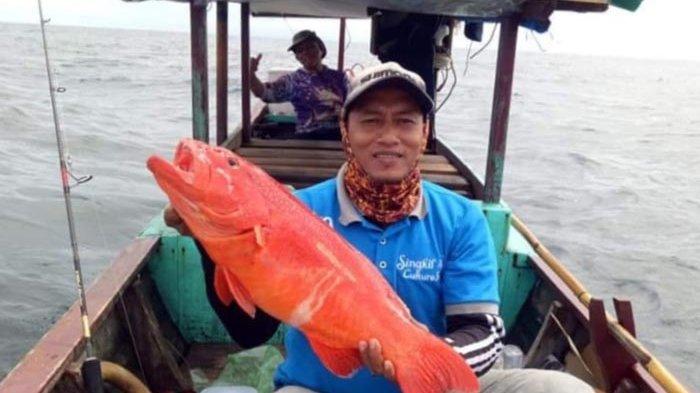 Detail Ikan Laut Warna Merah Nomer 9