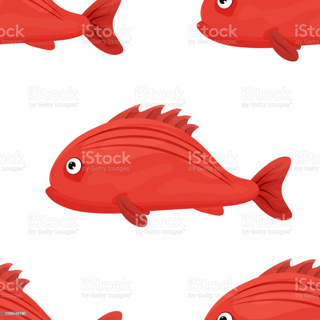 Detail Ikan Laut Warna Merah Nomer 50