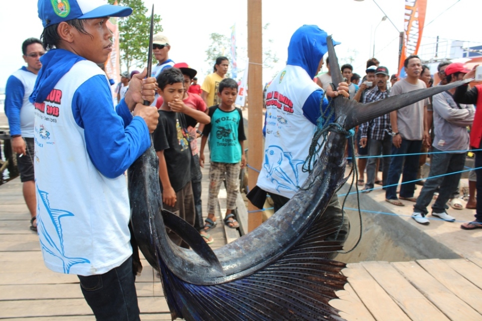 Detail Ikan Layang Layang Nomer 20