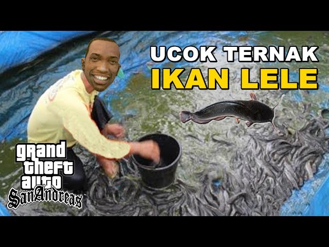 Detail Ikan Lele Lucu Nomer 16