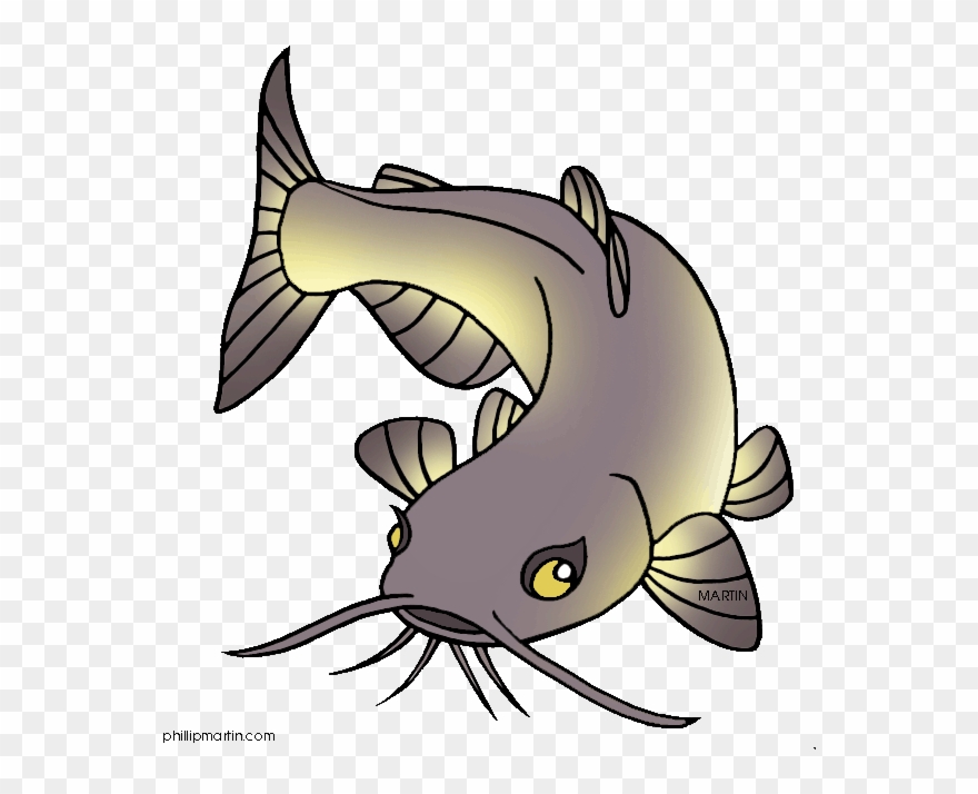 Detail Ikan Lele Vector Png Nomer 17