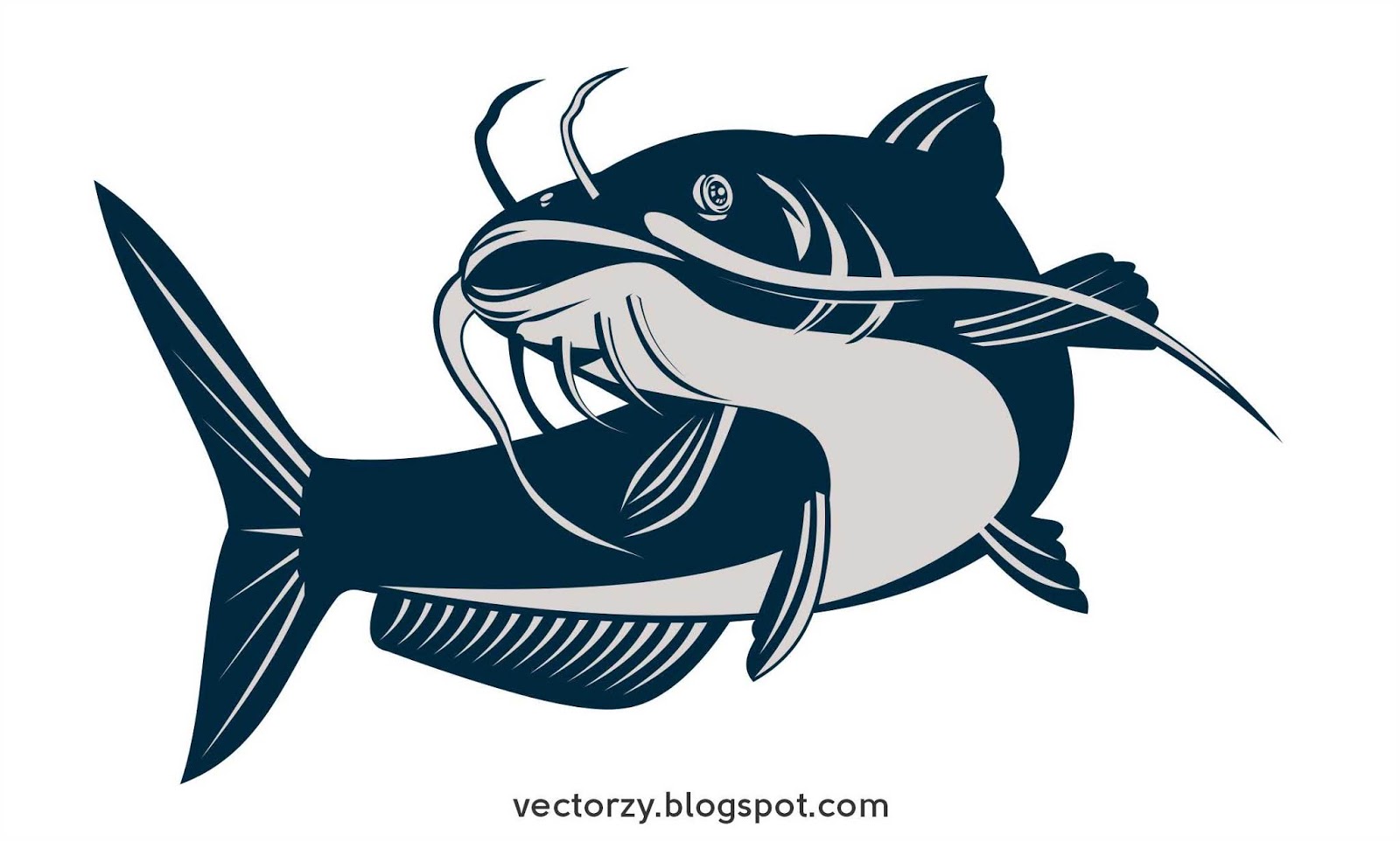 Detail Ikan Lele Vector Png Nomer 5