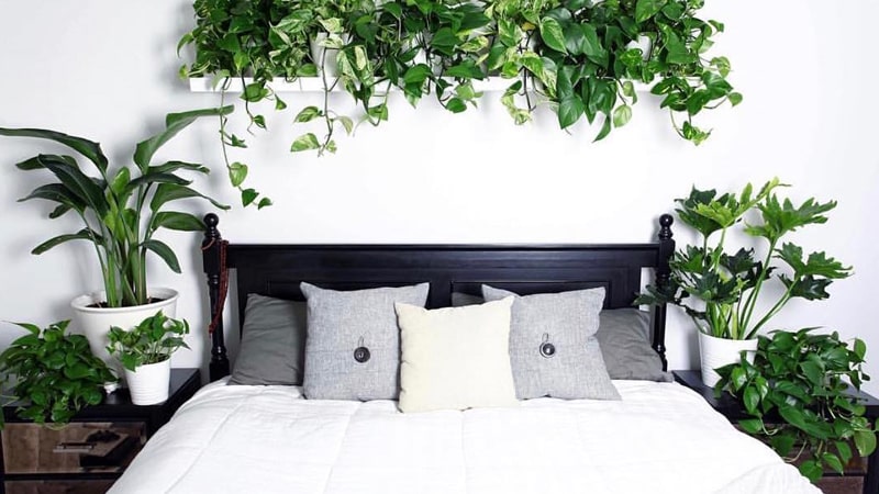 Detail Desain Kamar Tidur Dengan Taman Nomer 22