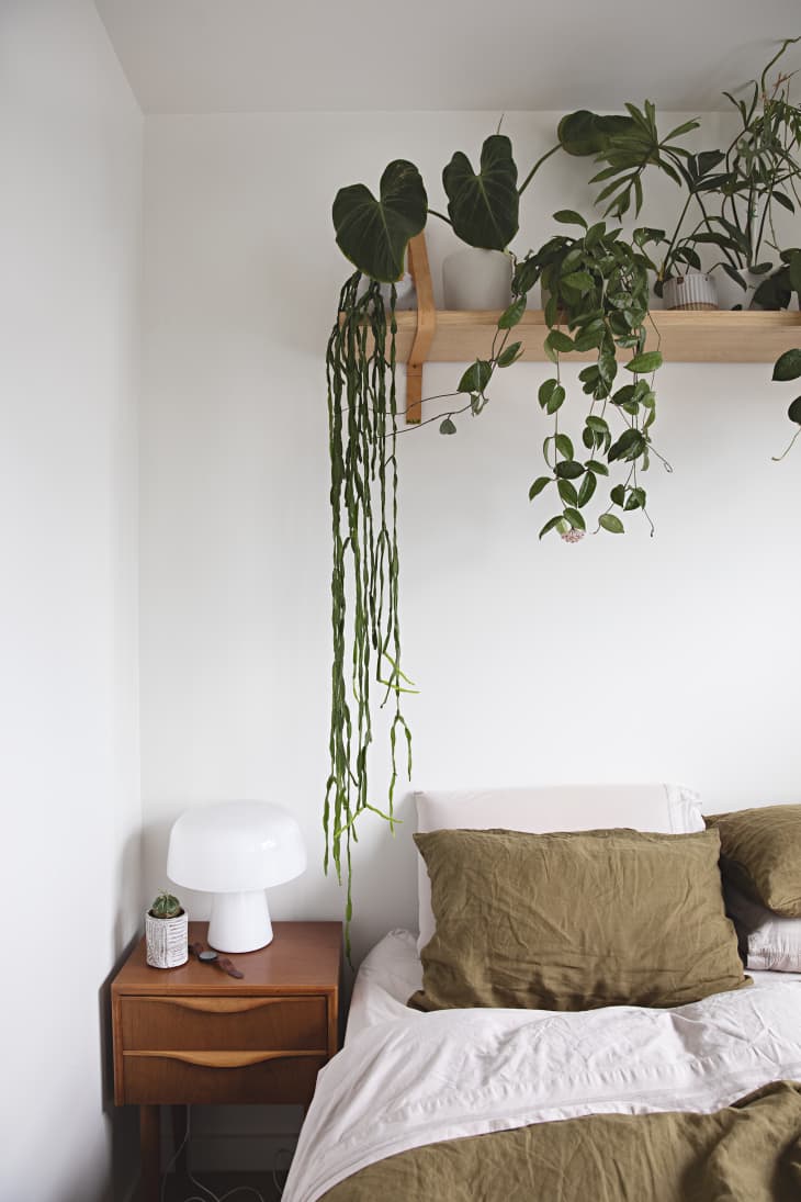 Detail Desain Kamar Tidur Dengan Taman Nomer 42