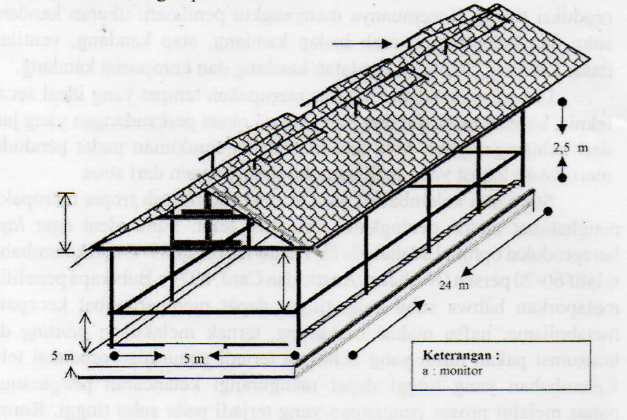 Detail Desain Kandang Ayam Nomer 12