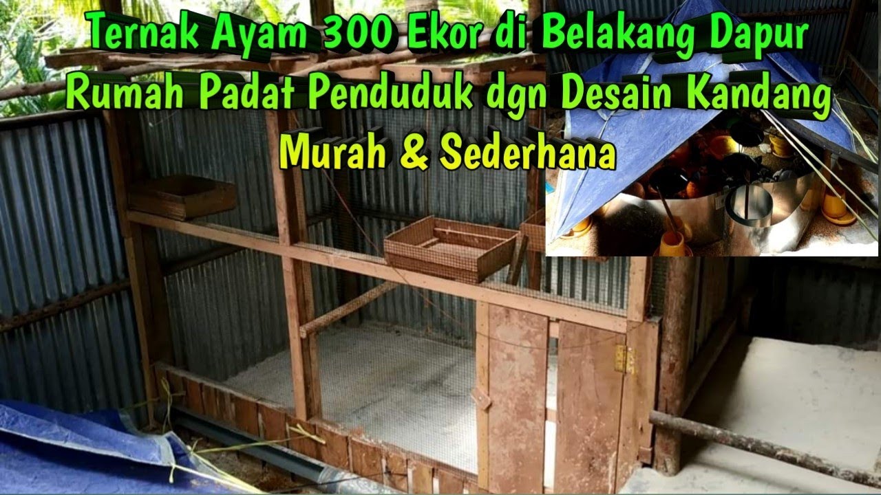 Detail Desain Kandang Ayam Nomer 37