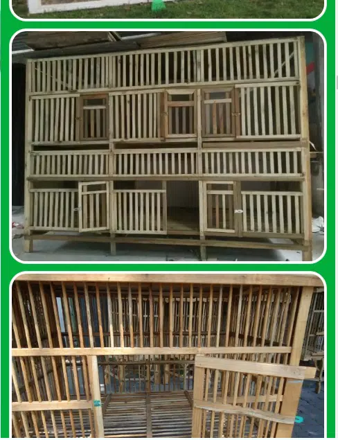 Detail Desain Kandang Ayam Bambu Nomer 15
