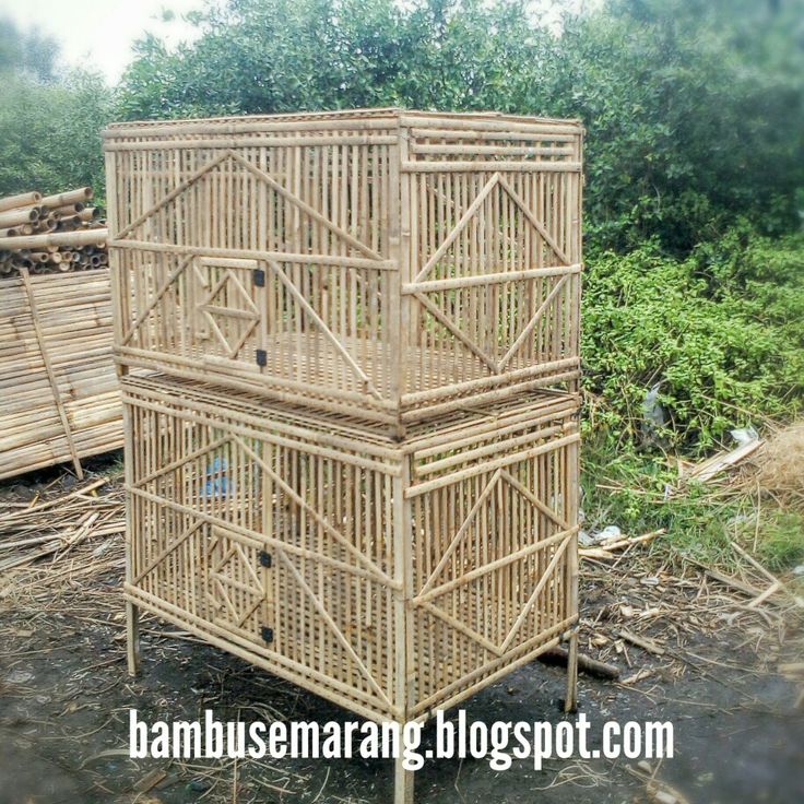 Detail Desain Kandang Ayam Bambu Nomer 20