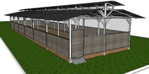 Detail Desain Kandang Ayam Broiler Nomer 12