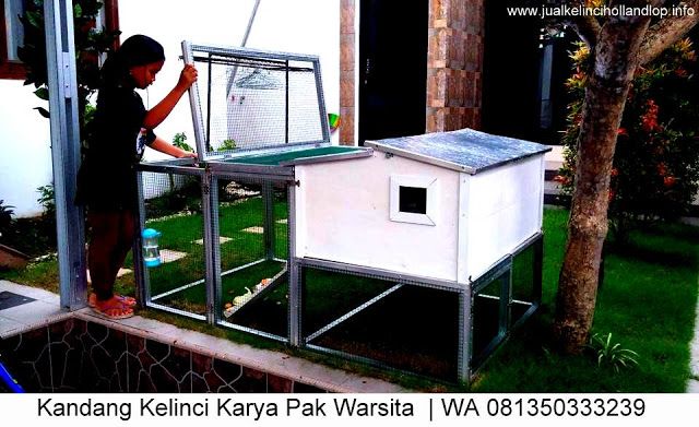 Detail Desain Kandang Kelinci Nomer 36