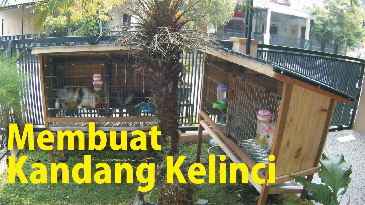 Detail Desain Kandang Kelinci Tingkat Nomer 55