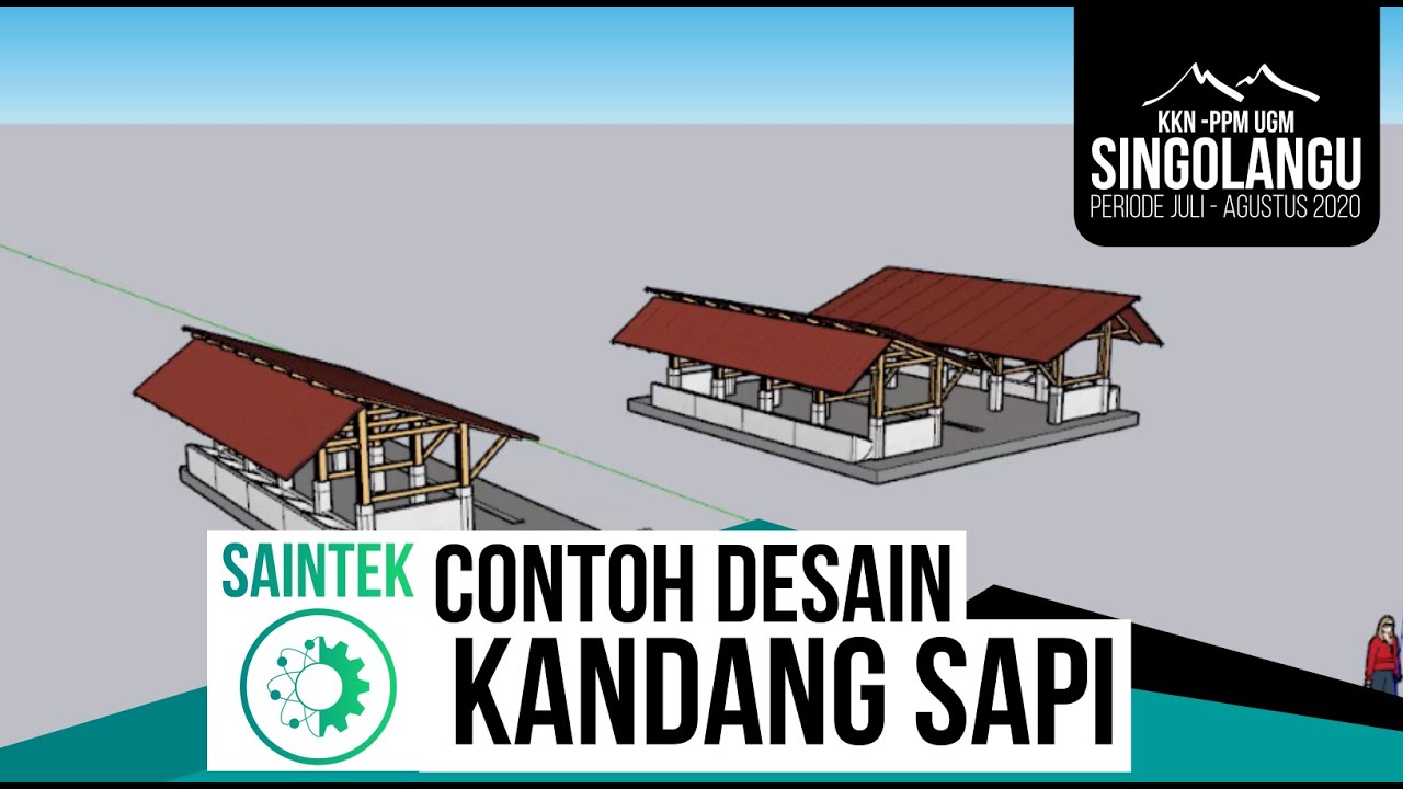 Detail Desain Kandang Sapi Nomer 20