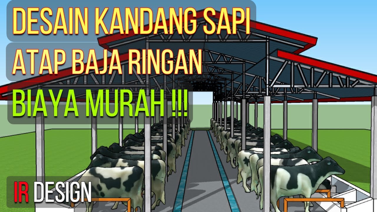 Detail Desain Kandang Sapi Nomer 30