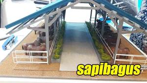 Detail Desain Kandang Sapi Nomer 50