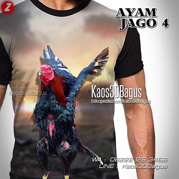 Detail Desain Kaos Ayam Aduan Nomer 34