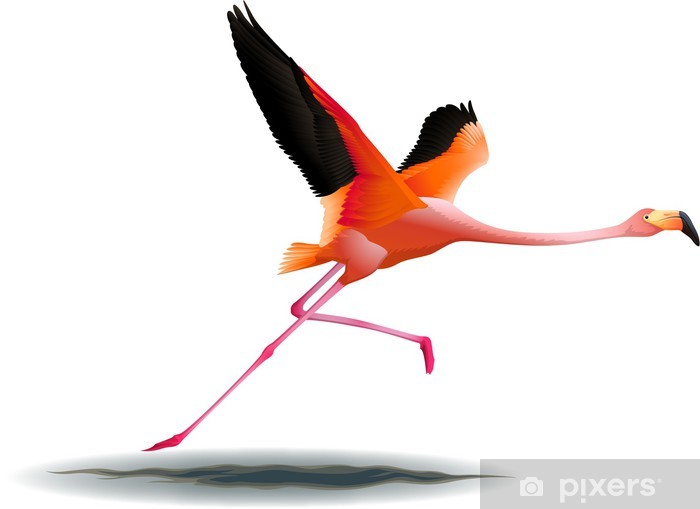 Detail Fliegender Flamingo Nomer 3