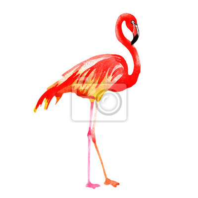 Detail Fliegender Flamingo Nomer 9