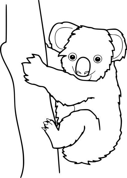 Detail Koala Mandala Nomer 13