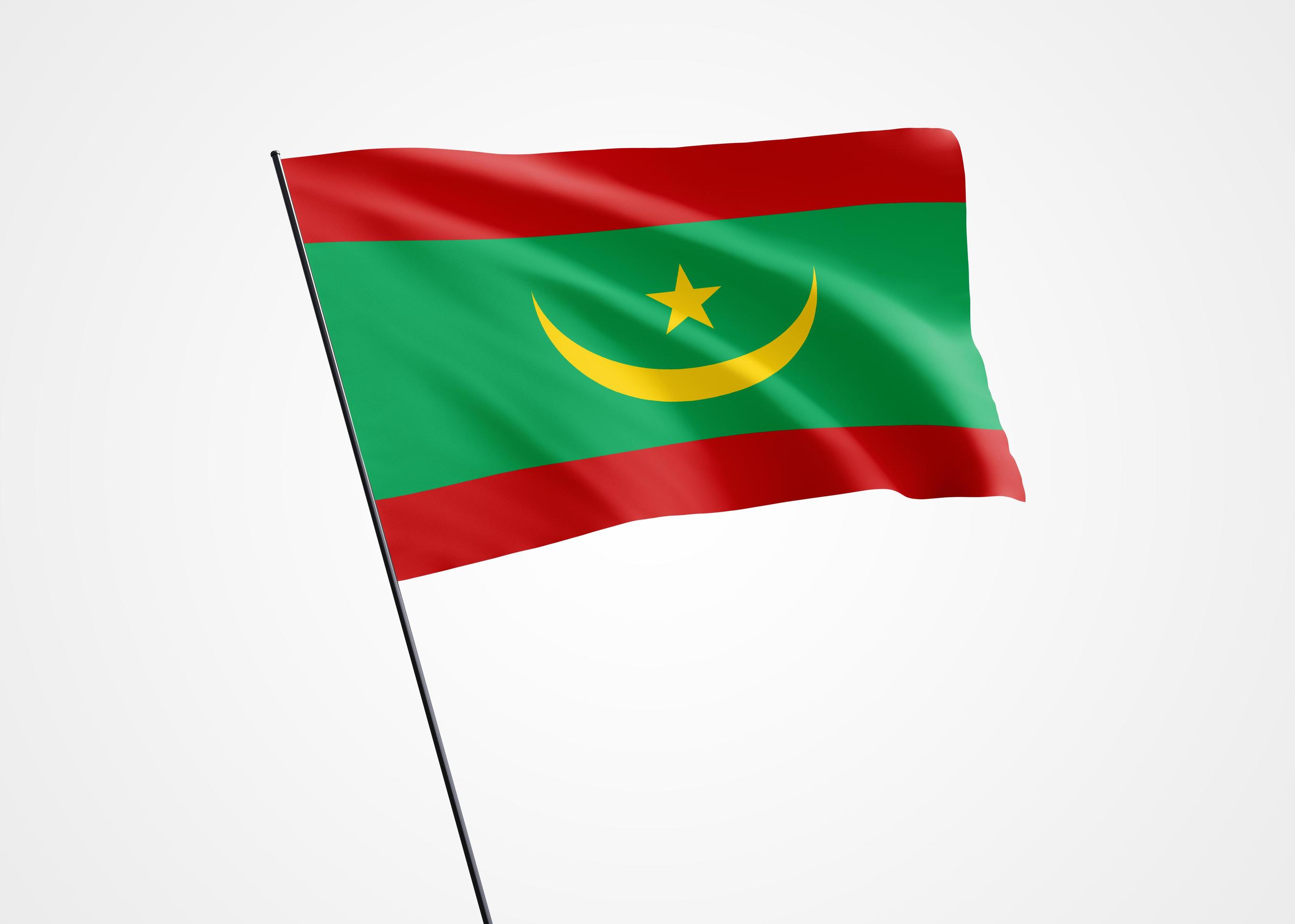 Detail Mauretanien Flagge Nomer 15