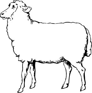 Detail Sheep Pen Drawing Nomer 2