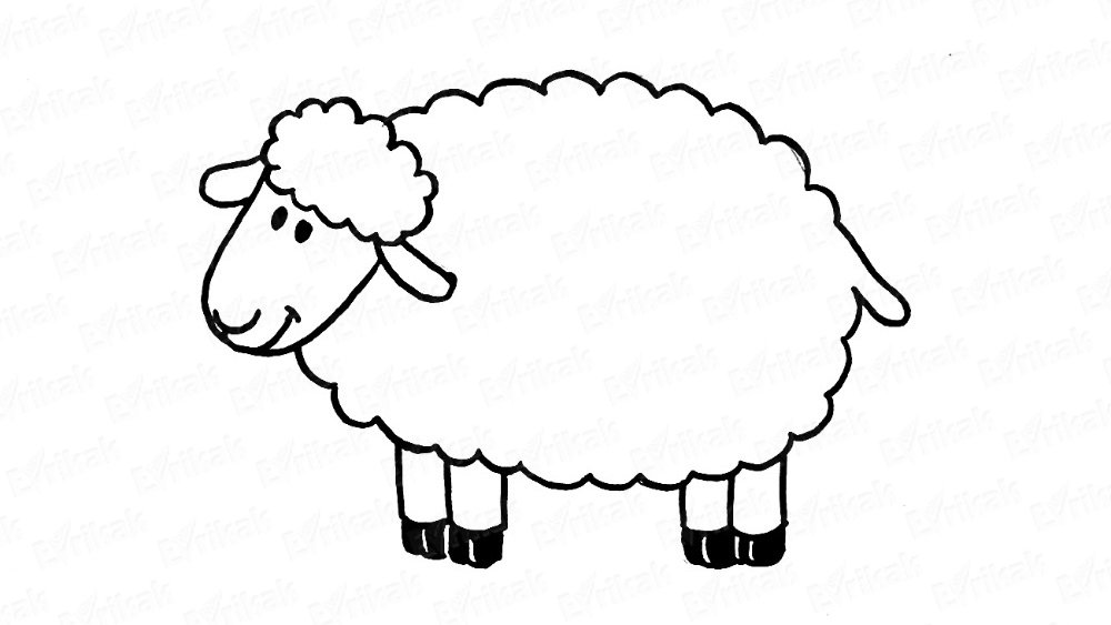 Detail Sheep Pen Drawing Nomer 4