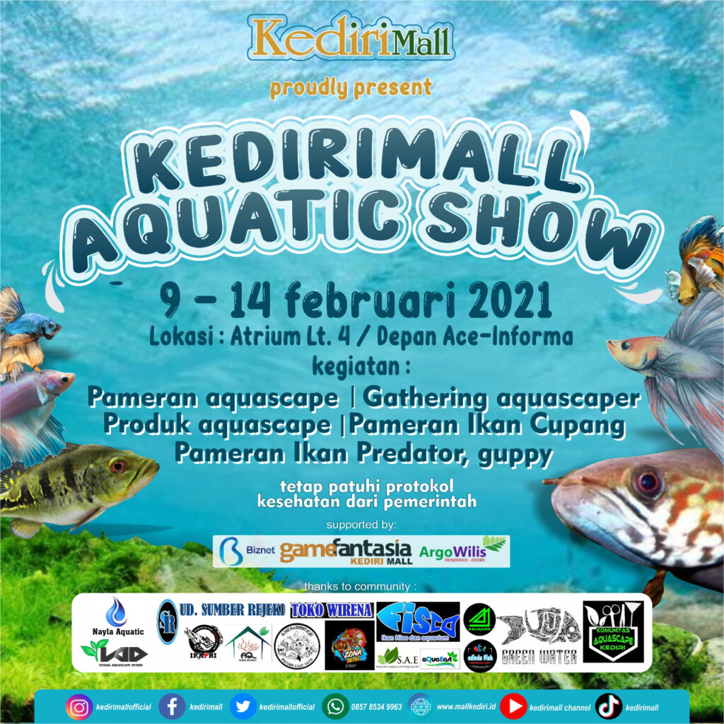 Detail Ikan Lomba Lomba Nomer 36