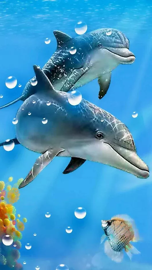 Detail Ikan Lumba Lumba Nomer 13