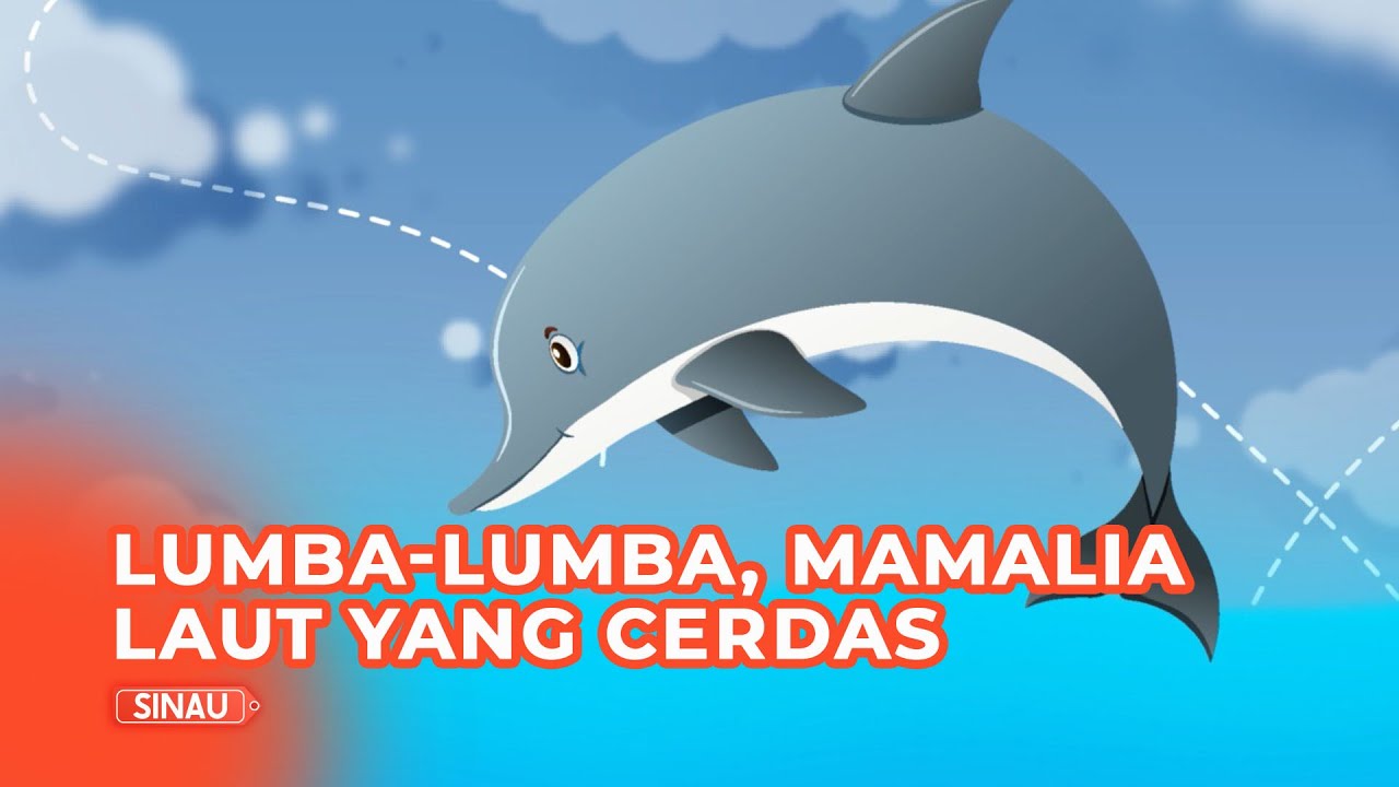 Detail Ikan Lumba Lumba Nomer 22