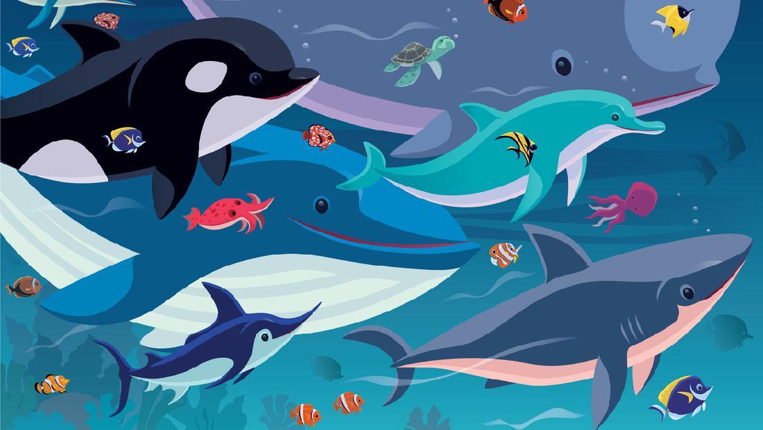 Detail Ikan Lumba Lumba Nomer 23