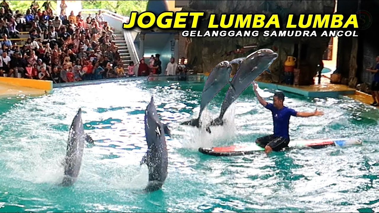 Detail Ikan Lumba Lumba Nomer 48