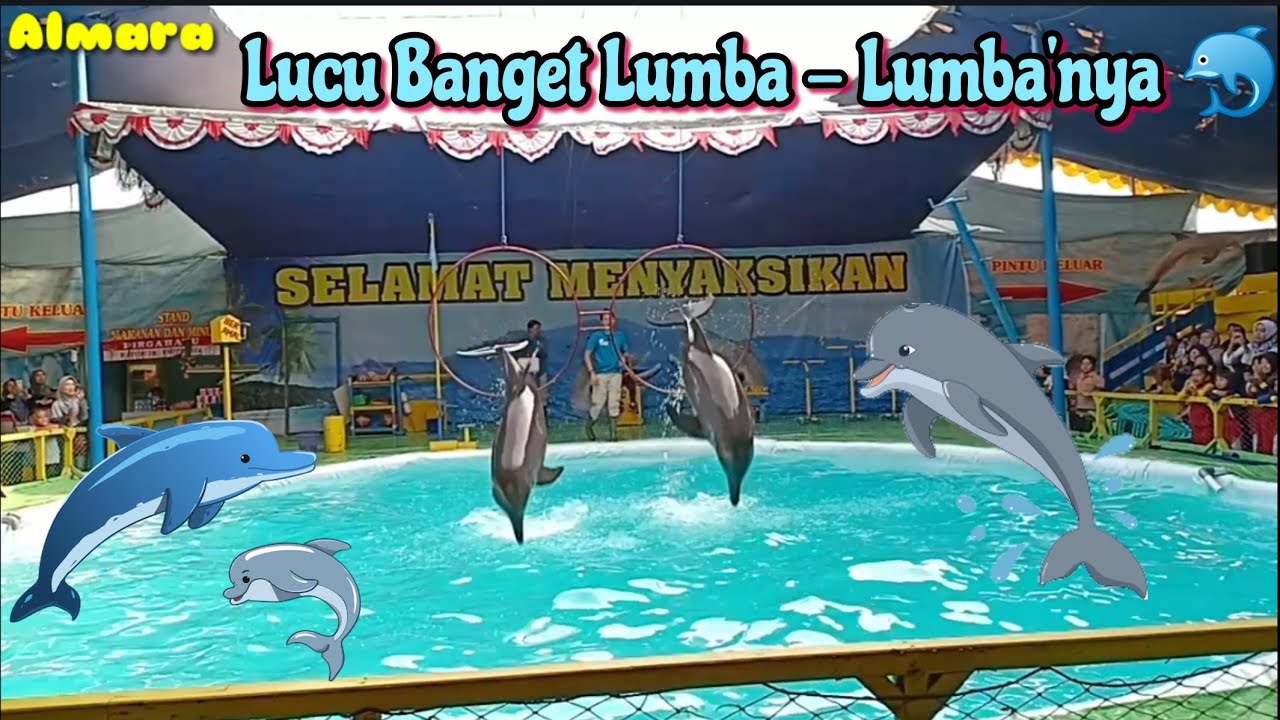 Detail Ikan Lumba Lumba Nomer 49