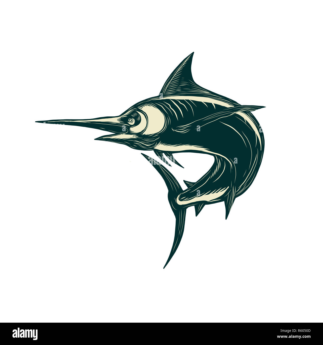 Detail Ikan Marlin Hitam Nomer 25