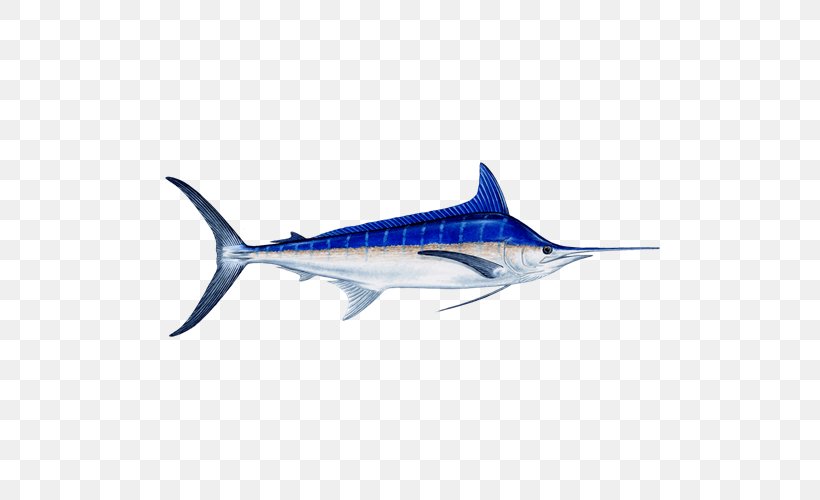 Detail Ikan Marlin Png Nomer 29