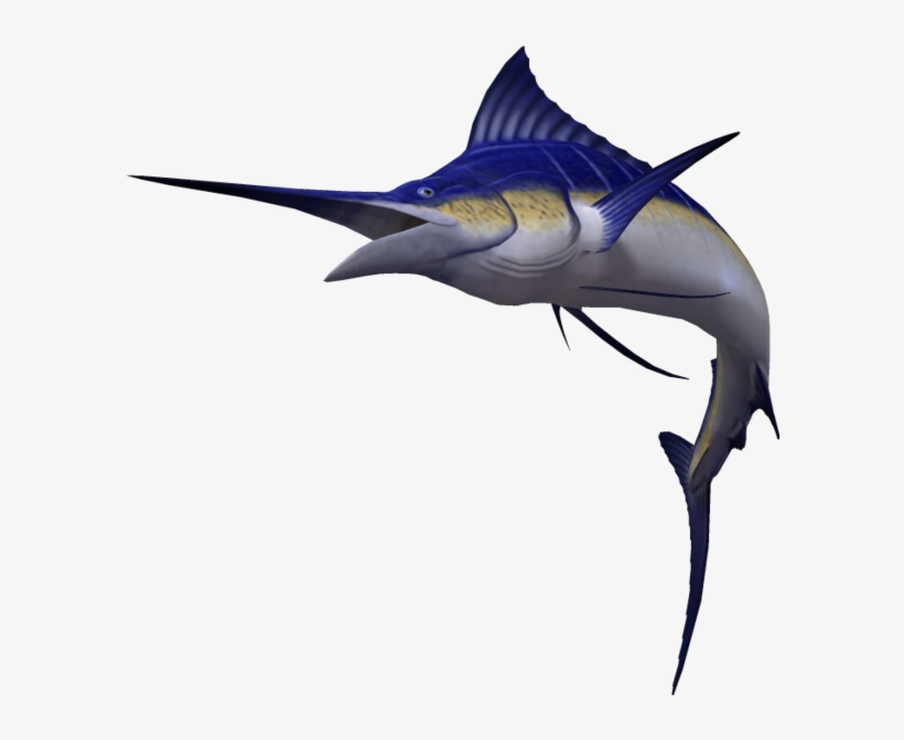 Detail Ikan Marlin Png Nomer 31