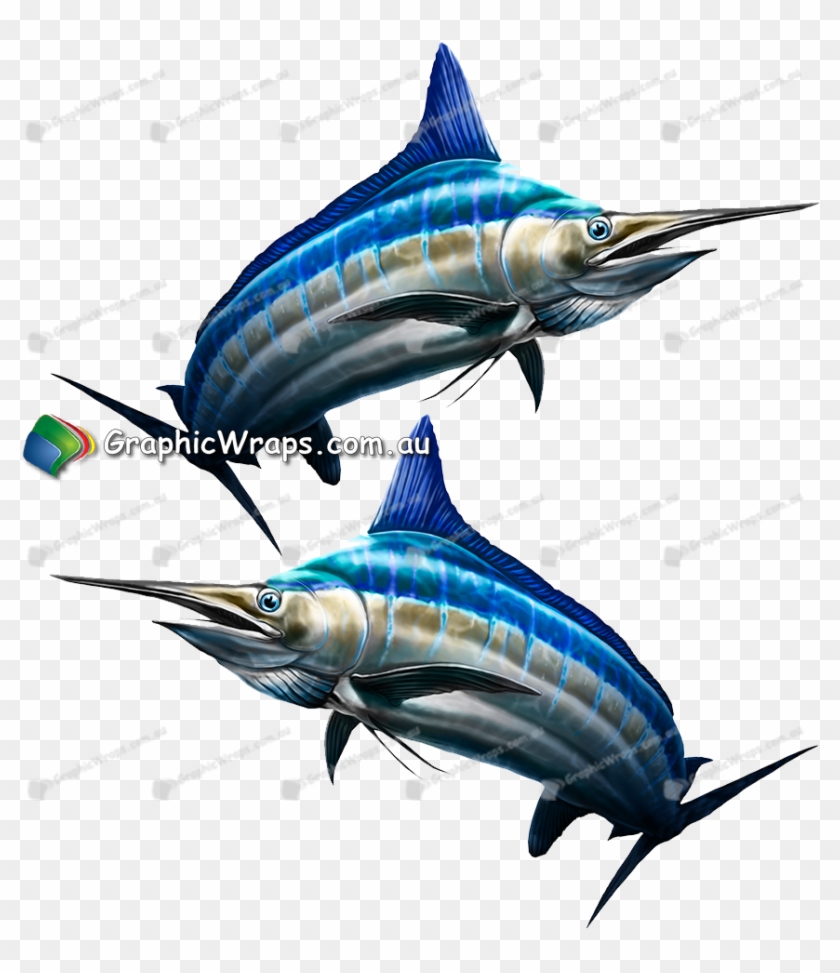 Detail Ikan Marlin Png Nomer 33