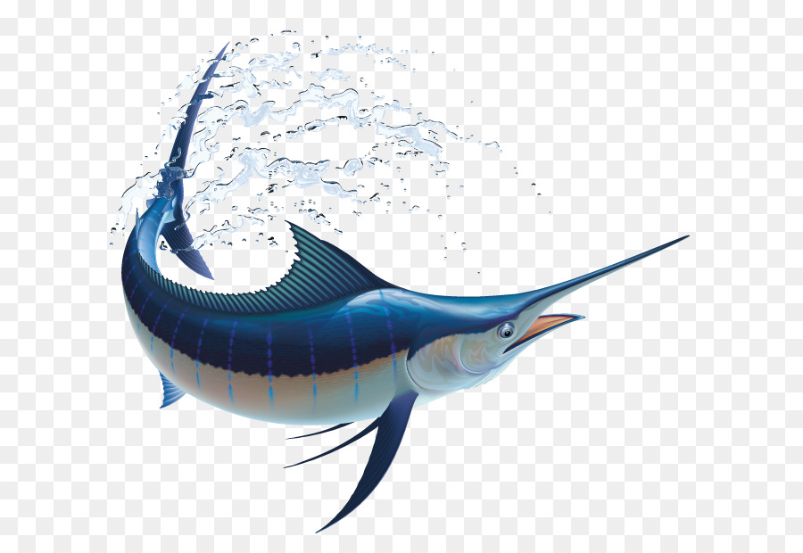 Detail Ikan Marlin Png Nomer 48