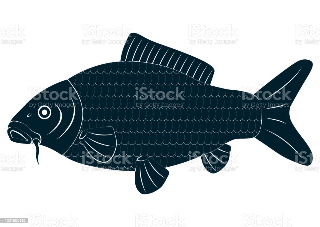 Detail Ikan Mas Vector Nomer 5