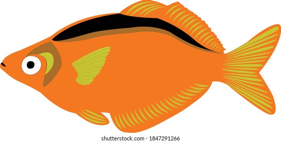 Detail Ikan Mujair Vector Nomer 16