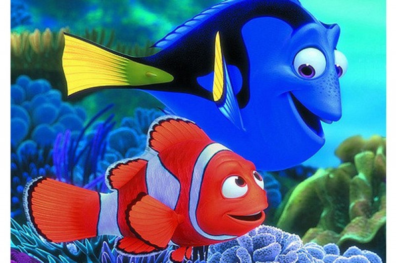 Detail Ikan Nemo Dan Dory Nomer 13