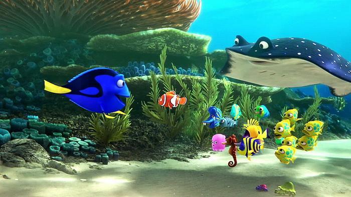 Detail Ikan Nemo Dan Dory Nomer 18