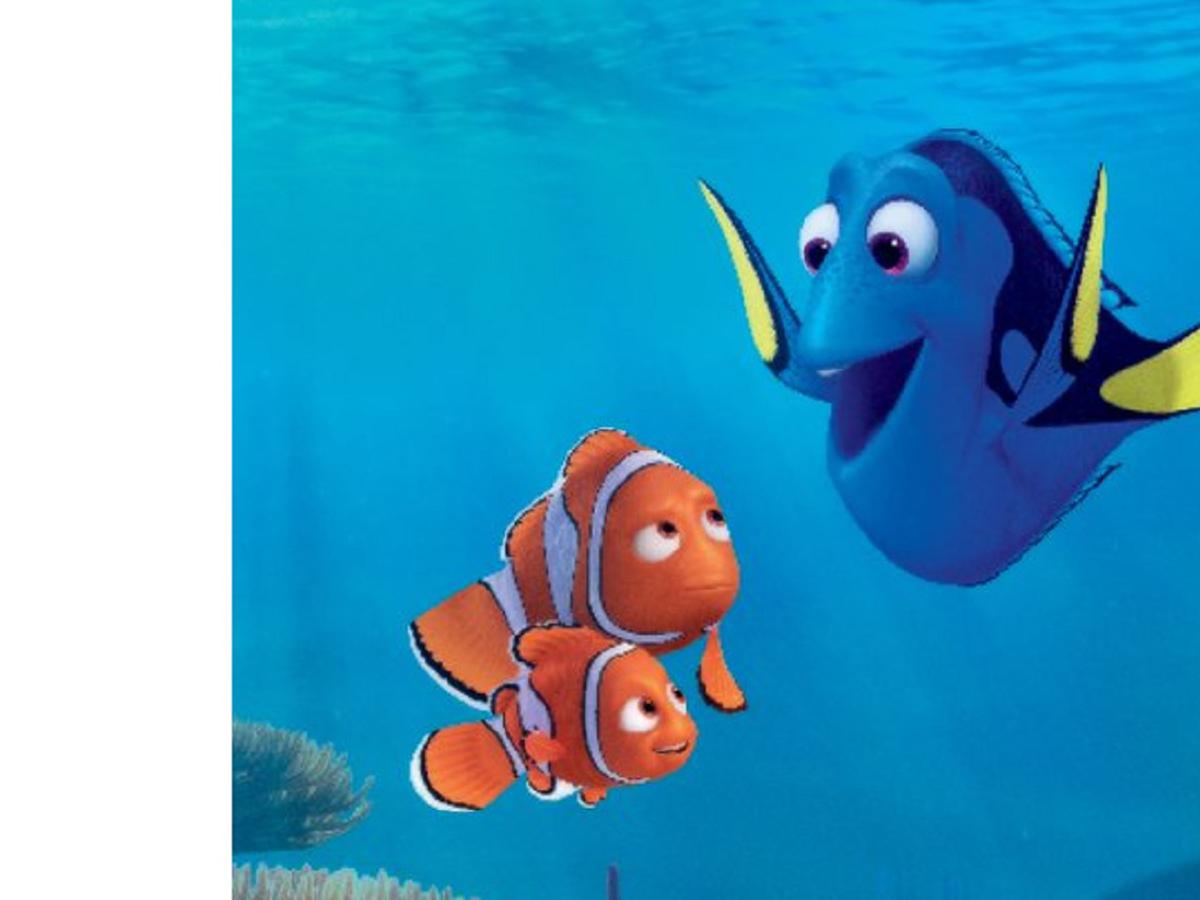 Detail Ikan Nemo Dan Dory Nomer 20