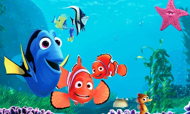 Detail Ikan Nemo Dan Dory Nomer 34