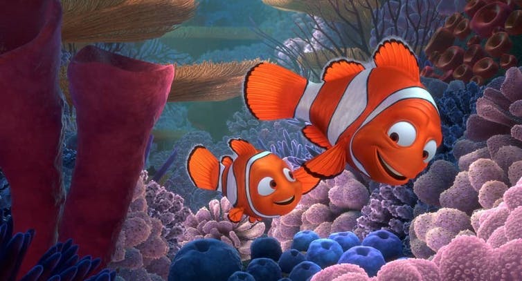 Detail Ikan Nemo Dan Dory Nomer 38