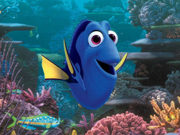 Detail Ikan Nemo Dan Dory Nomer 8